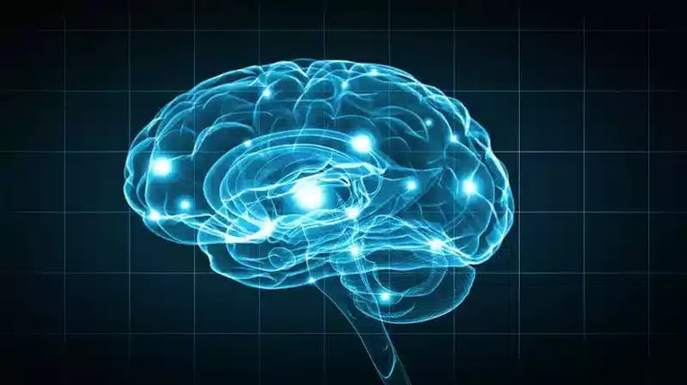 Künstliche Intelligenz, ein Glossar der Begriffe
