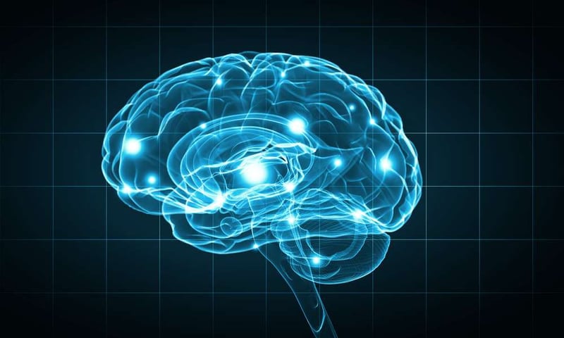 Neural networks mimic the human brain