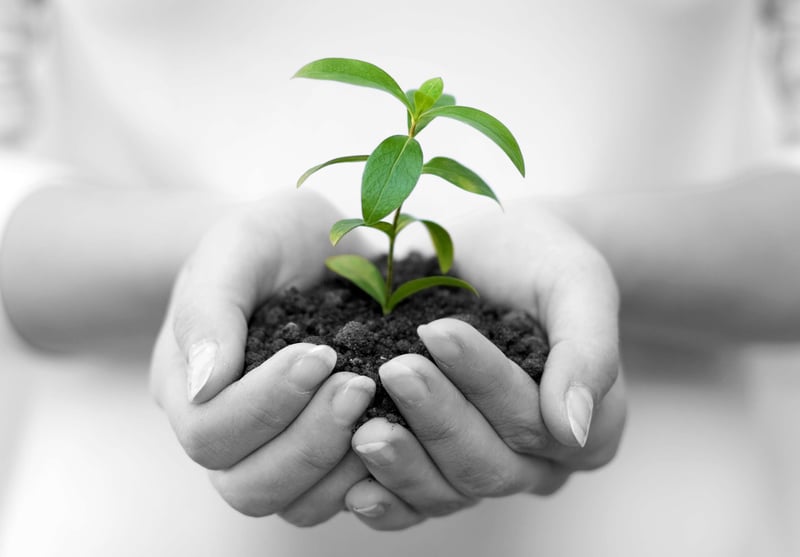 growing a blog takes planning