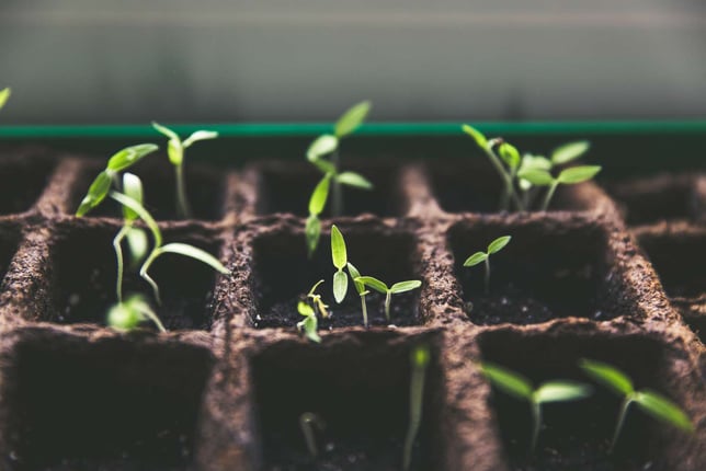 Starten Sie Ihr Startup-Marketing mit diesen Wachstums-Hacks