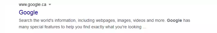 Example of a truncated meta description in Google search results.