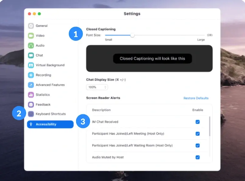 Captura de pantalla de las funciones de accesibilidad de Zoom, incluyendo subtítulos y transcripciones.